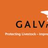 GALVmed