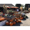 Wagner Farms