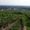 Bourgueil