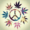 FloGreenRoutes