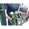 Kin's Farm Market