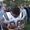 Jerry Rice Jr.