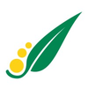 Acacia Partners