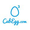 CubEgg