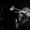 Dave Douglas (trumpeter)