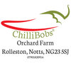 ChilliBobs
