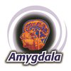 Amygdala Recruitment Solutions