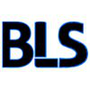 Byte Logic Systems