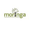 Moringa School