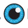 Global Digital Forensics