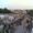 Jamkhambhaliya
