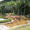 Honolulu Zoo