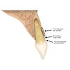 Alveolar bone