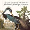 The Birds of America
