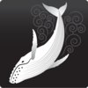 Whale Watch