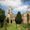 Rossington