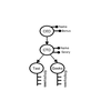 Organization Schema