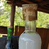 Pulque