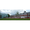 Watford Grammar School for Boys