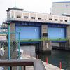 Floodgate