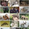 Mammal