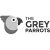 Thegreyparrots