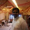 Vishal S Totla