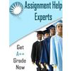 Assignment Help Experts