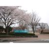 University of Aizu