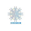Cerebrem Analytics