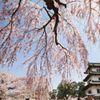 Hirosaki