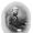 Philip Pearsall Carpenter