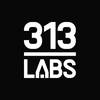 313 Labs