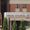 Symbiosis International University