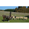 Rolling Hills Farm