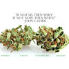 420MEDIA