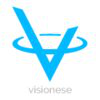 Visionese