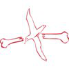 Albatross Designs 