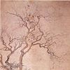 Fei Danxu