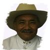 Vidal Colmenares
