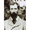 Charles Koechlin