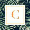 Cosme Hunt