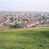 Whitehawk