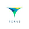 Torus Innovations 