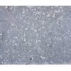 Zinc galvanizing