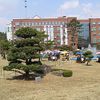 Konyang University