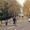 Birdcage Walk