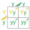 Punnett square