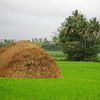 Srirangapatna
