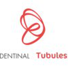 Dentinal Tubules